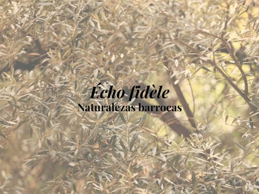 Promo L´Onde et Les Zephires